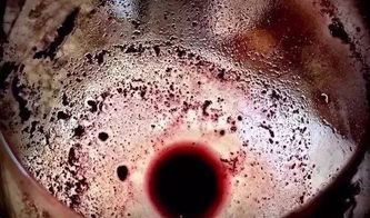 葡萄酒沉淀的中的微生物沉淀的简略说明1.jpg