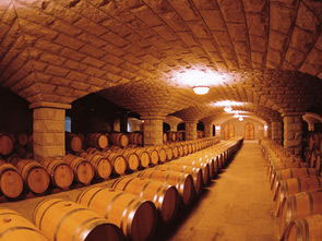 法国波尔多葡萄酒的旅程2.jpg