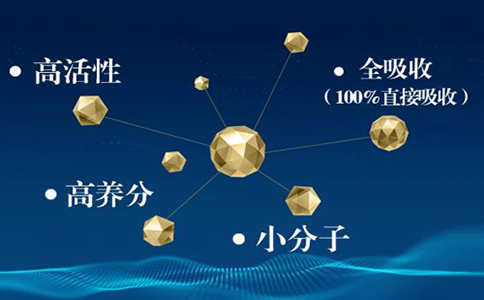 小分子肽更易吸收